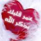 الصورة الرمزية الريحان